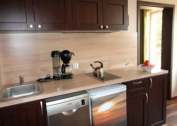 Carmen Apartament Centrum * גדנסק